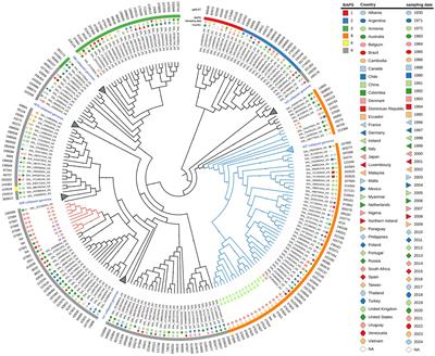 Genotypic and phenotypic analysis of Salmonella enterica serovar Derby, looking for clues explaining the impairment of egg isolates to cause human disease